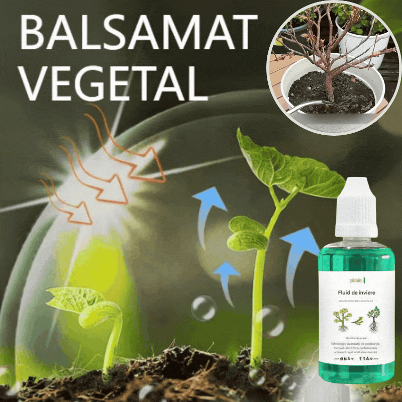 💥【Kupite 1, dobite 2 brezplačno】 3 stekleničke 🌱🌱 Hranilna raztopina, ki spodbuja rast rastlin