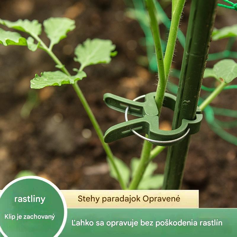🍃【50 ks.】Klipy na vinič pre záhradníctvo