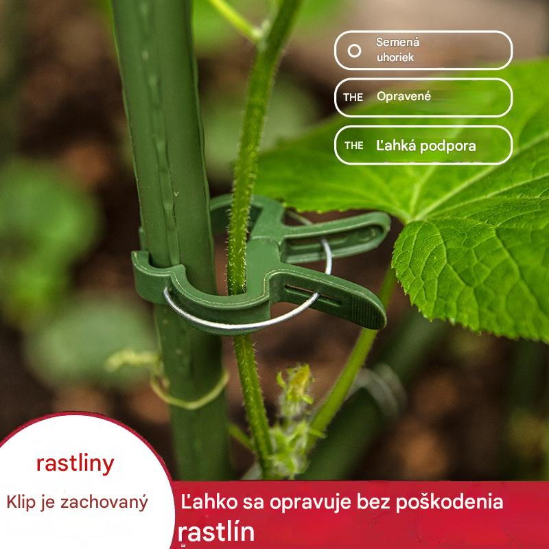 🍃【50 ks.】Klipy na vinič pre záhradníctvo