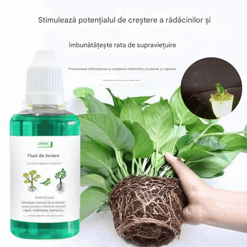 💥【Kúpte 1 a získajte 2 zadarmo】🌱🌱 Živný roztok, ktorý podporuje rast rastlín